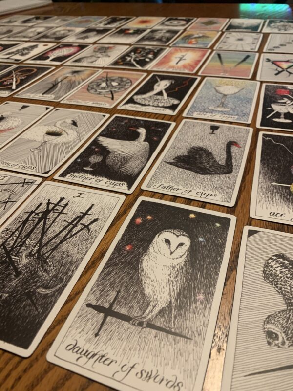 The Wild Unknown Tarot